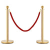 Red Crowd Control Rope with Velvet Rope