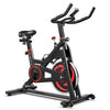 30 lbs Home Gym Cardio Exercise Magnetic Cycling Bike