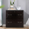 2-Drawer Free Standing Lateral File Cabinet-Black
