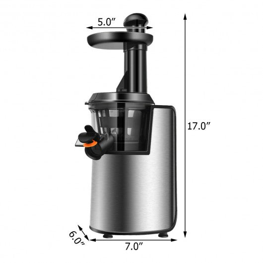 Slow Masticating Juicer Cold Press Juicer Extractor