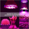 24W E27 12 LED Grow Hydroponic Plant Garden Light Lamp Bulb