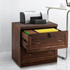 2-Drawer Free Standing Lateral File Cabinet