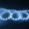 100' 2 Wires LED Christmas Decorative Rope Light
