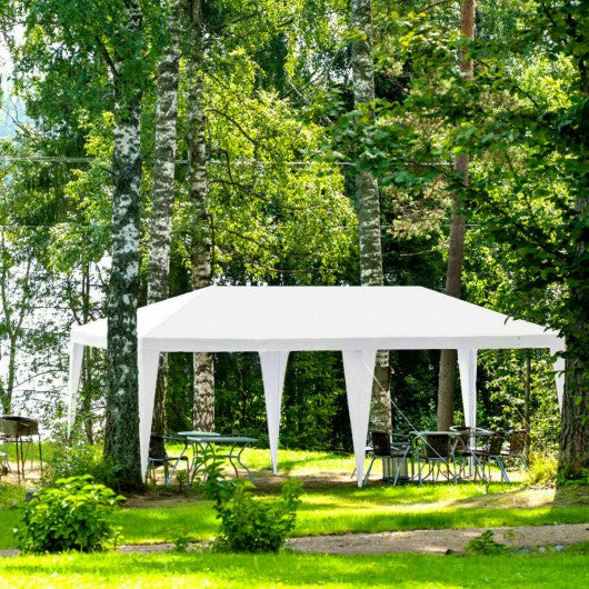 10' x 20' Canopy Tent Wedding Party Tent with Carry Bag