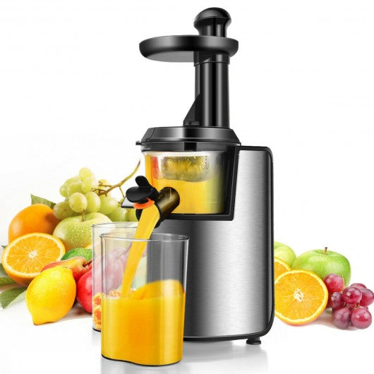 Slow Masticating Juicer Cold Press Juicer Extractor