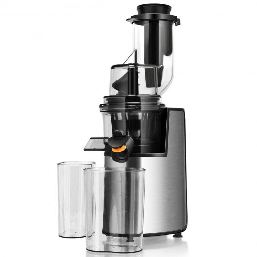 Slow Masticating Juicer Cold Press Juicer Extractor