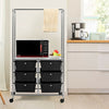 6 Drawer Rolling Storage Cart with Hanging Bar
