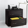 2-Drawer Free Standing Lateral File Cabinet