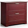 2-Drawer Lateral File Cabinet w/ Adjustable Pole