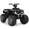 12V Kids 4-Wheeler ATV Quad Ride On Car