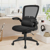 Ergonomic Desk Chair with Soft Pillow