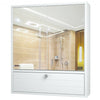 Bathroom Double Mirror Door Wall Mount Storage Wood Cabinet