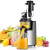 Slow Masticating Juicer Cold Press Juicer Extractor