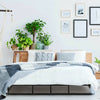 Queen Size Platform Low Profile Bed Frame