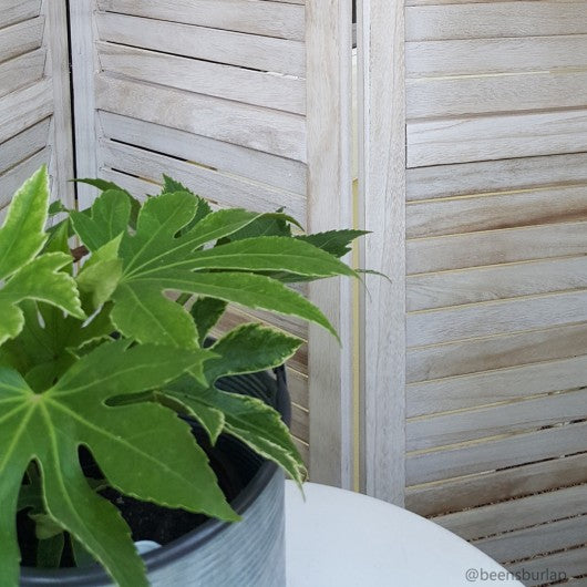 6 Panels Classic Venetian Wooden Slat Room Screen