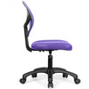 Low-back Computer Task Office Desk Chair with Swivel Casters