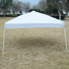 GOPLUS 10' x 10' EZ POP UP Wedding Party Canopy Carry Bag-white