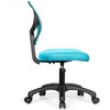 Low-back Computer Task Office Desk Chair with Swivel Casters