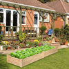 Wooden Vegetable Raised Garden Bed