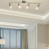 4-Light Track Light Rotatable Glass Shade Chandelier lamp