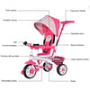 4-in-1 Detachable Baby Stroller Tricycle with Round Canopy