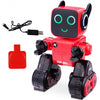 K3 Programmable Touch & Sound Control Piggy Sing Dance Robot