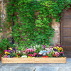 Wooden Vegetable Raised Garden Bed