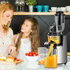 Slow Masticating Juicer Cold Press Juicer Extractor