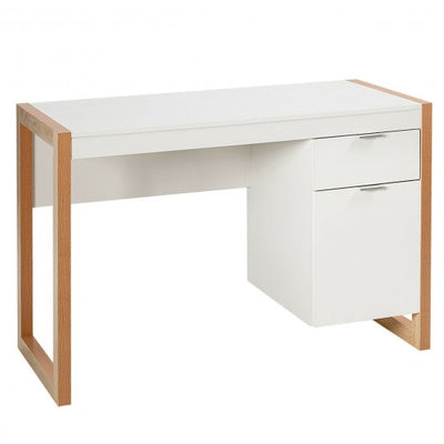 Modern Computer Desk Study Table Writing Workstation with Cabinet and Drawer