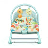 Baby Adjustable Swing Bouncer & Rocker