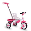 4-in-1 Detachable Baby Stroller Tricycle with Round Canopy