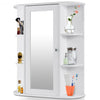 Bathroom Cabinet Single Door Shelves Wall Mount Cabinet