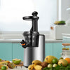 Slow Masticating Juicer Cold Press Juicer Extractor