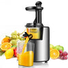 Slow Masticating Juicer Cold Press Juicer Extractor