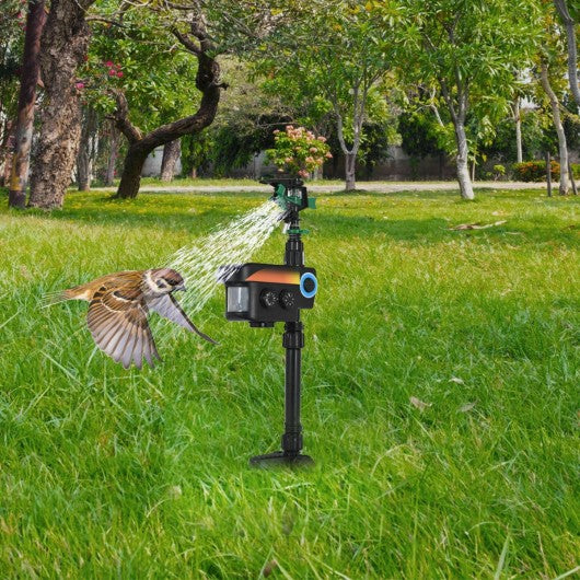 Solar Powered Motion-Activated Animal Repeller