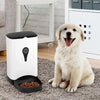 Automatic Pet Feeder for Dog Cat Food Dispenser