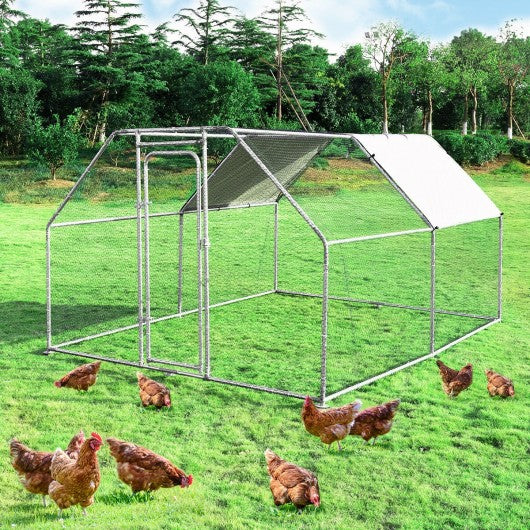 9.5' x 12.5'  Large Walk In Chicken Coop Run House