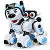 Wireless Programmable Interactive Remote Control Robotic Dog