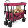 Collapsible Garden Folding Wagon Cart with Canopy