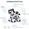 Wireless Programmable Interactive Remote Control Robotic Dog