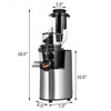 Slow Masticating Juicer Cold Press Juicer Extractor